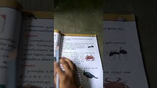 Ln10 orarivu mudhal aararivu varai  Grade 3 [upl. by Ettevad]