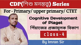 পিঁয়াজের প্রজ্ঞামূলক বিকাশ Piagets Cognitive Development Class 4  CDP series [upl. by Irrab774]