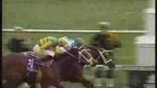 Flanders Breeders Cup Juvenile Fillies 94 overview [upl. by Mezoff]