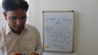 Origin of Sedimentary Rocks by Prof Dhruv Sen Singh University of Lucknow India [upl. by Narmak]