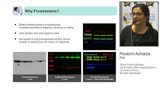 Quantitative Western Blotting How to improve your data quality and reproducibility [upl. by Nlycaj]