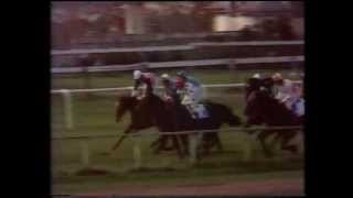 1974 Scottish Grand National Handicap Chase [upl. by Atims]