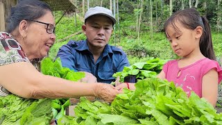 Harvest vegetables to sell at the marketchange vegetable varieties on the farm DH Building NewLife [upl. by Sivrahc]