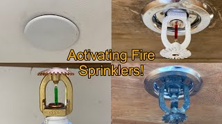 Activating Fire Sprinklers Concealed Fire Sprinkler Sprinkler Season 23’ [upl. by Azpurua570]