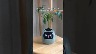 No more dying plants 🥰🪴 planter plants cuteplanter plantlover viral [upl. by Birdella323]