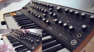 Cinematic Synths Moog Subsequent 37 ft Ventris Dual Reverb [upl. by Dilks]