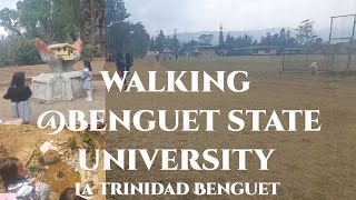 Walking Benguet State University BSU La Trinidad Benguet school university viral viralvideo [upl. by Hermine]