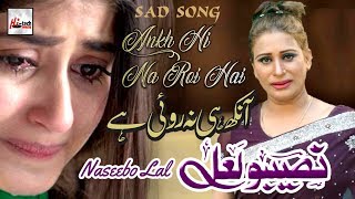 Aankh Hi Na Roi Hai  Best of Naseebo Lal  HITECH MUSIC [upl. by Pearle]