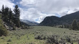 Buffalo Plateau Trail  Yellowstone National Park  May 2022 [upl. by Cinimmod487]