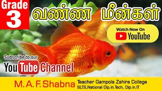 Vanna Meengal Grade 3 Tamil Medium by MrsShabna Teacher Gampola Zahira College [upl. by Marilin]