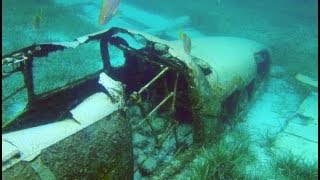 Snorkeling CocoCay  Royal Caribbean  Snorkel Coco Cay Bahamas [upl. by Tavia]