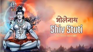 Shiv Stuti  Lofi Version  Slowed amp Reverb  namami shamishan rudrashtakam lingashtakam shiv [upl. by Yenoh25]