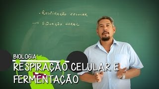 O que é Mitocôndria  Extensivo Biologia  Descomplica [upl. by Yodlem808]