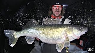 TOP 5 BIGGEST WALLEYES CAUGHT ICE FISHING compilation [upl. by Ativla]