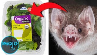 Top 10 Most Horrifying Food Recalls You Need to Know About [upl. by Yeniffit92]