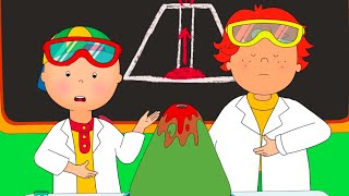 Science Fair  Caillou Compilations [upl. by Attiuqahs23]