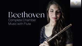 Beethoven Complete Chamber Music with Flute [upl. by Kirby]