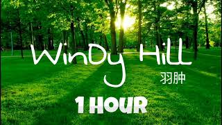 WINDY HILL  NHẠC ĐỌC SÁCH  LÀM VIỆC  THƯ GIẢN [upl. by Krystin105]