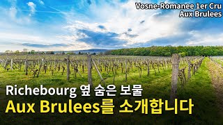 Engsub Vosne Romanee 1er Cru Aux Brulees [upl. by Nalla]