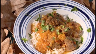 Jamaican Style Venison Curry with Acorn Squash [upl. by Yztim]