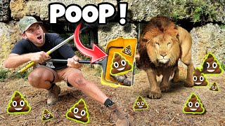 POOP SCOOPING THE LION DEN AT THE ZOO  LIONS TIGERS LIGERS [upl. by Cleo]