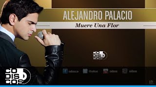 Muere Una Flor Alejandro Palacio  Audio [upl. by Aneral]