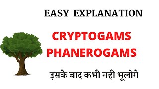 Cryptogams And Phanerogams Easy Explaination [upl. by Hittel581]