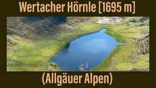 15  Wertacher Hörnle 1695 m  Allgäuer Alpen ￼ [upl. by Sirromal]