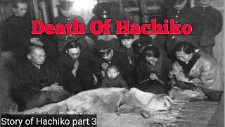 How Hachiko Died  Story of hachiko part 3 [upl. by Ielirol]