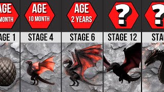 Evolution Of Balerion  By Stages  House of the Dragon [upl. by Eire]