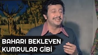 BAHARI BEKLEYEN KUMRULAR GİBİ  Petrol Kralları 1979 [upl. by Akemot]