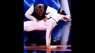 Man transforms into a Dog on AGT Americas got talent😱😂 Duo SchumacherAGTamericagottalentmagic [upl. by Saberio]