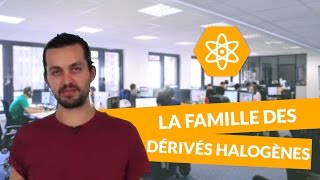 La famille des dérivés halogènes  Physiquechimie  TS  digiSchool [upl. by Kirtley983]