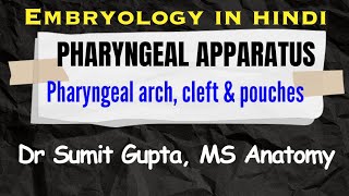 Pharyngeal apparatus embryology Hindi [upl. by Alraep]