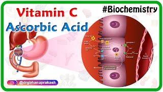 Vitamin C  Ascorbic acid Animation  MetabolismSources Synthesis  functions Scurvy [upl. by Glinys267]