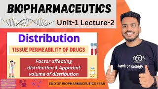 Distribution  Tissue permeability of drugs  binding of drug  apparent volume of drug distribution [upl. by Aratak]