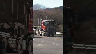 TRUCK SPOTTING ROLLING THUNDER ON THE HIGHWAY bigrig truckdriver trucking trucker automobile [upl. by Eitten]