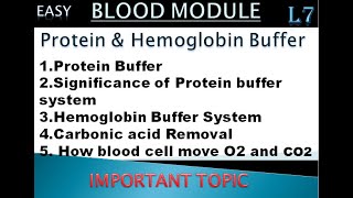 L7  Protein and Hemoglobin Buffer  Significance of Protein Buffer System  Carbonic Acid Removal [upl. by Leontina111]