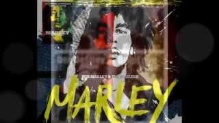 Bob Marley amp The Wailers  Time Will Tell [upl. by Angelia]