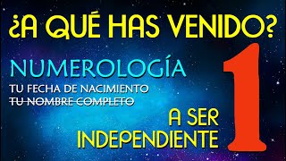 1️⃣ NUMEROLOGIA número 1 por fecha de nacimiento ▶ ¿A qué has venido 👉 A ser independiente [upl. by Bathsheb]