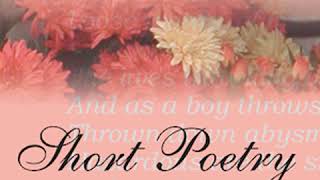 Short Poetry Collection 091 by VARIOUS read by Various  Full Audio Book [upl. by Hsemar]