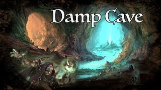 DampD Ambience  Damp Cave [upl. by Eelyak]