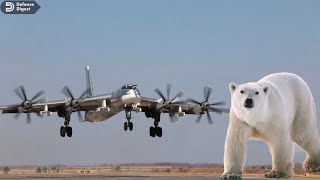 Russias Tu95 Bear Is a Beast of an Aircraft shorts [upl. by Auqinimod]