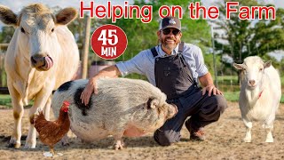 Helping a Farmer Feed and Care For His Animals Educational Farm Video For Kids [upl. by Acissaj366]