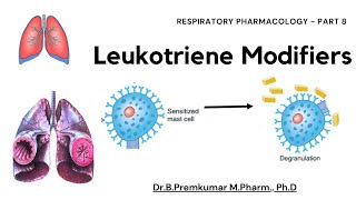 Leukotriene modifiers  Respiratory Pharmacology  Part 8 [upl. by Idak]