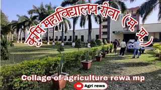 कृषि महाविद्यालय रीवा मप्रcollage of agriculture rewa jnkvv rewa  agriculture college in rewa [upl. by Slrahc]