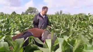 Certifying Organic Food in Germany  Made in Germany [upl. by Atcele]