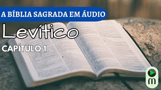 AUDIOBOOK A BÍBLIA NARRADA  LEVÍTICO CAP 1 [upl. by Nylevol809]