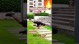 Planche workout level6Day3 planche pullups calisthenics shorts youtube pushups strength [upl. by Cirnek]