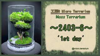 Moss Terrarium ～24036～ Long Ver コケリウム terrarium 苔テラリウム 苔 moss [upl. by Edals]